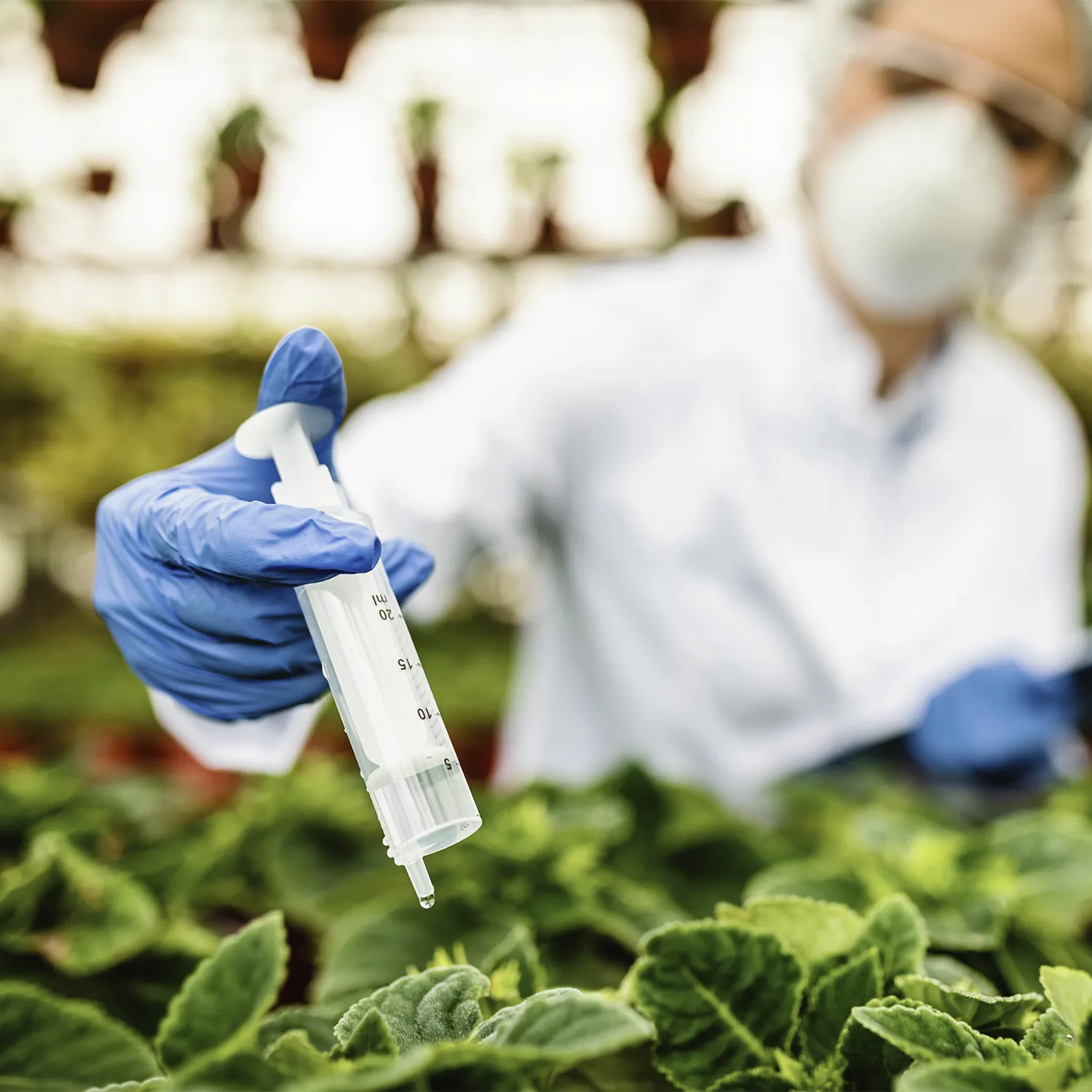 fitosanitarios injeccion en las plantas